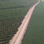 Campos de cultivo vigilados por la Policia Local