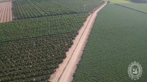 Campos de cultivo vigilados por la Policia Local