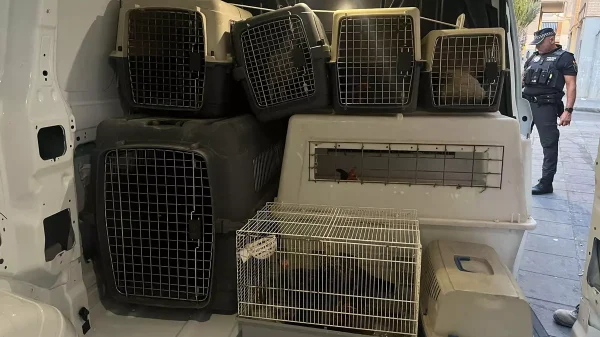 Policia Local de Alicante