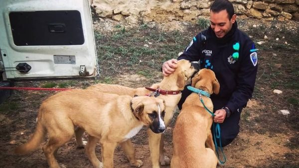 Antonio de la jungla policia local de Albacete
