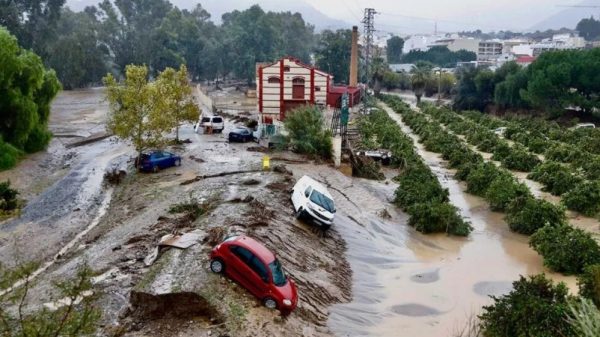 El Tribunal Supremo rechaza las denuncias contra el teniente general jefe de la Unidad Militar de Emergencias por la Dana al no apreciar delito alguno 14 Fuente ICAyCC Dana