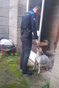 Jefe de la PL de Caldas atendiendo a la perra