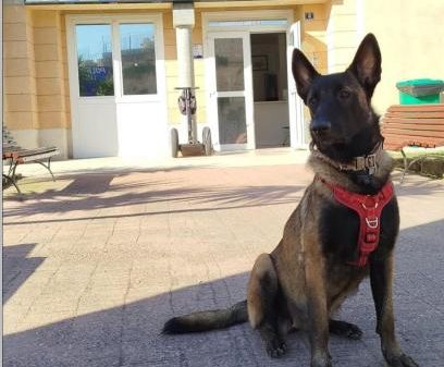 Ona se presenta en sociedad