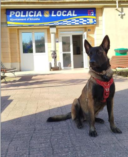 Ona se presenta en sociedad