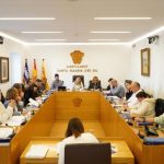 Una imagen del pleno municipal