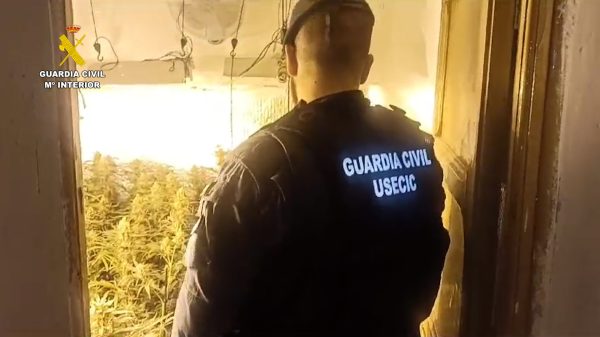 Tres guardias civiles se enfrentan a juicio por presunto uso ilícito de bases de datos y extorsiones 12 Guardia Civil