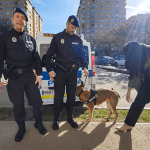 Huesca pone en marcha la primera Unidad Canina de una Policía Local en Aragón 3 Unidad Canina de Huesca