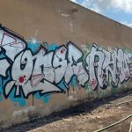 La Policía Local de Cádiz identifica a grafiteros vandálicos gracias a la grafología aplicada a la investigación 2 Archivo Grafitis