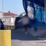 Fuente salseo usc Santiago patada al perro