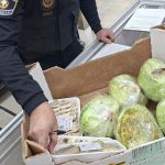 Inspecciones de la Policia Local de Paterna en comercios