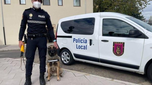 El concurso para el cuidado del perro de la Policía Local de León durante las vacaciones de su guía queda desierto 12 Policia Local de Leon