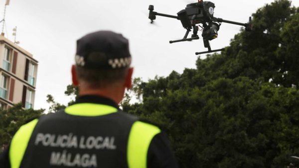Drones versus gaviotas 14 Policia Local de Malaga