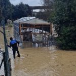 Policia Local de Naoin