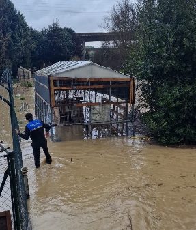 Policia Local de Naoin