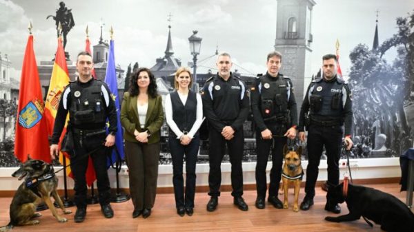 Presentacion de la unidad