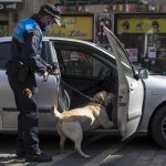 Policia Municipal de Pamplona