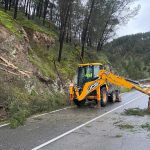 La Policía Local de Benamejí advierte del “riesgo grave e inminente” en la N-331A por la caída masiva de pinos 4 Uno de los pinos caidos